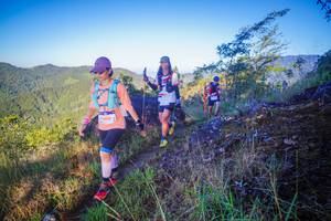 BIB: 5099
                            <button type="button" onclick="openModal(19064159)" class="btn btn-primary btn-sm float-right btn-popup" data-toggle="modal" data-target=".modal-high-quality">
                        <i class="fas fa-shopping-cart"></i> Add to Cart
                    </button>
                                            <button type="button" onclick="isThisMe(19064159, true)" class="btn btn-success btn-sm float-right btn-popup btn-isme hidden" data-toggle="tooltip" data-placement="bottom" title="นี่คือรูปของคุณใช่ไหม คลิกที่นี่เพื่อเอาเข้าอัลบั้ม">
                        <i class="fas fa-plus"></i> Add to album
                    </button>
                    <button type="button" onclick="isThisMe(19064159, false)" class="btn btn-warning btn-sm float-right btn-popup btn-isnotme hidden">
                        <i class="fas fa-ban"></i> Remove from album
                    </button>